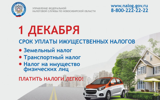 УФНС России по Новосибирской области напоминает: не позднее 1 декабря нужно уплатить имущественные налоги