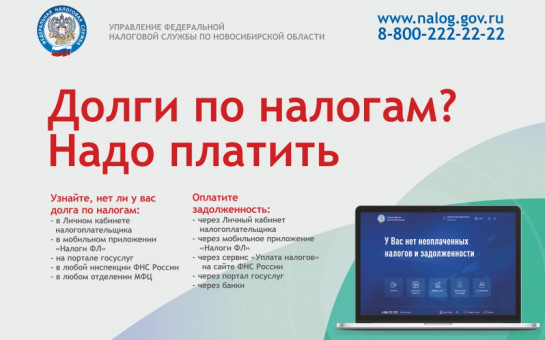 Как проверить долги по налогам: рекомендации УФНС России по Новосибирской области